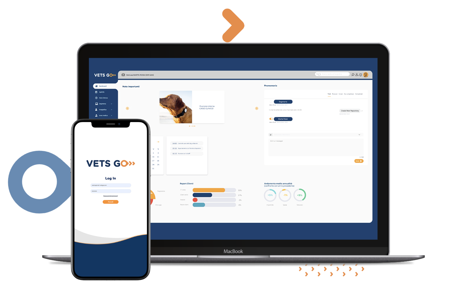 VetsGo Veterinary Management Platform